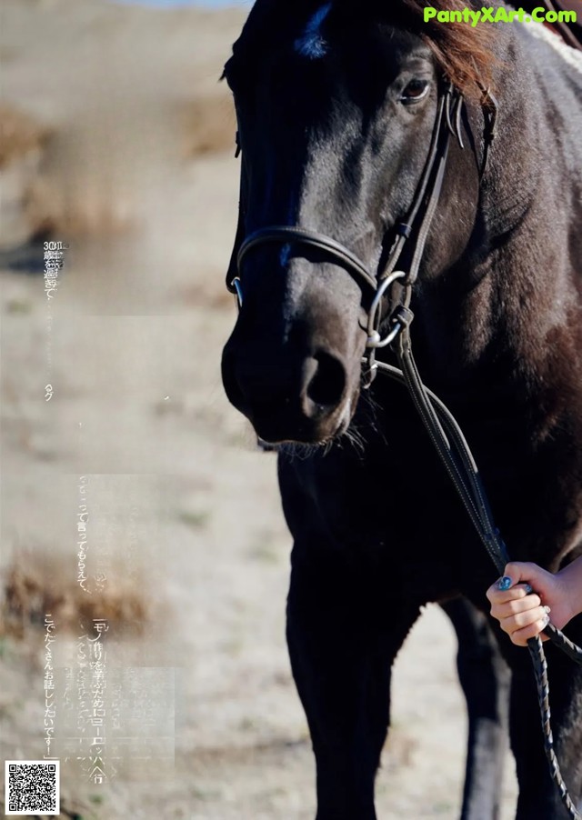 A woman is holding the reins of a black horse.